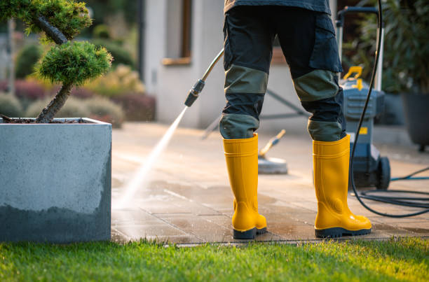 Best Exterior Home Cleaning  in South Farmingdale, NY